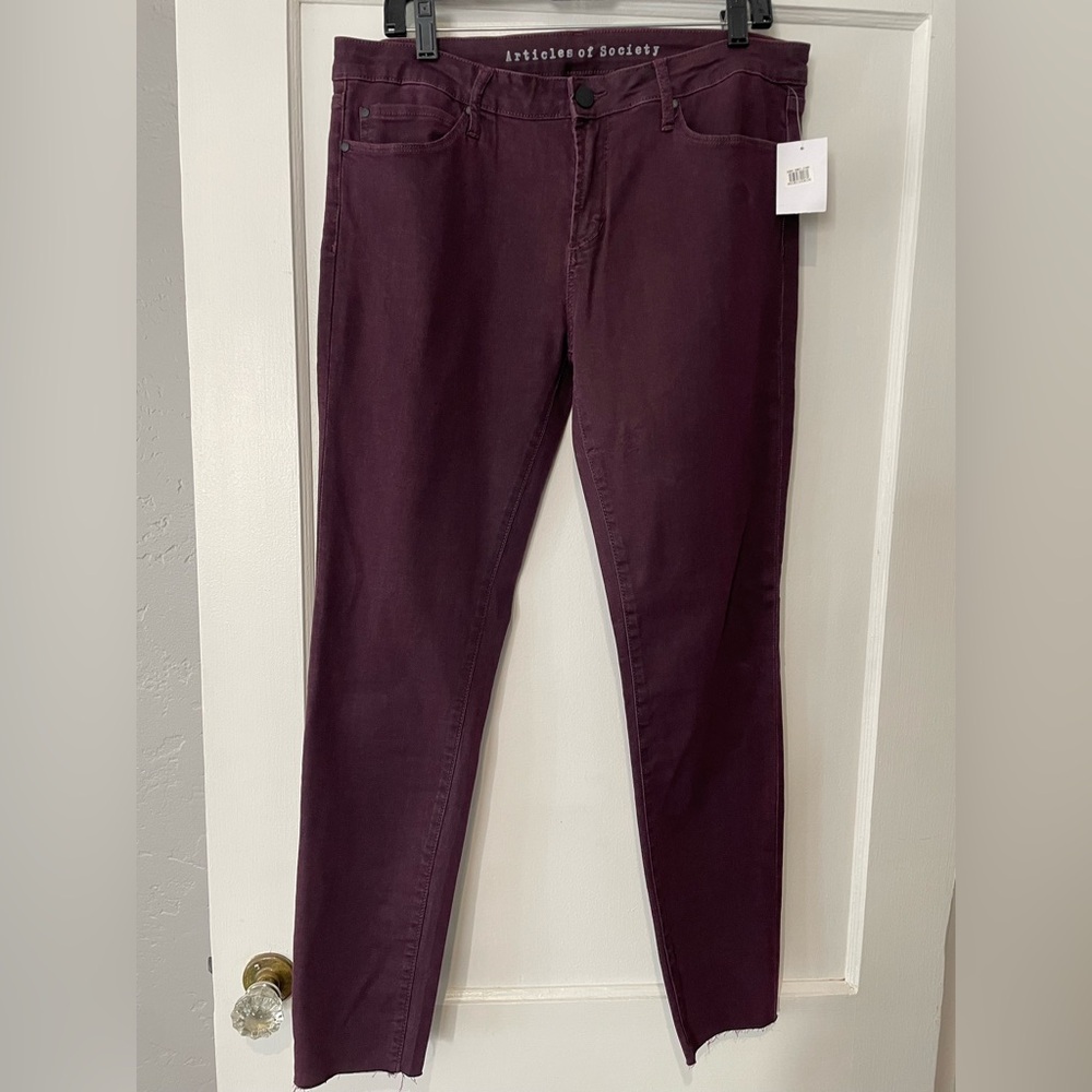 NWT Articles of Society Skinny Jean